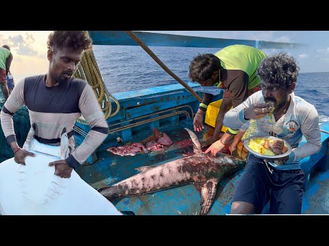 ‼️Monster Fish Hunting for 3 DAYS Straight | Record-Breaking Fish Every Day💢 | S02-day 1 to 3
