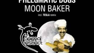 Phlegmatic Dogs - Moon Baker (Original Mix) HQ
