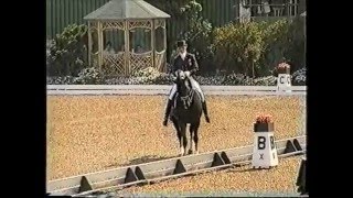 Video of Ferro