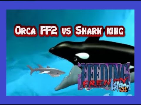 Feeding Frenzy Mod!   Orca FF2 vs Shark King and Leopard shark!