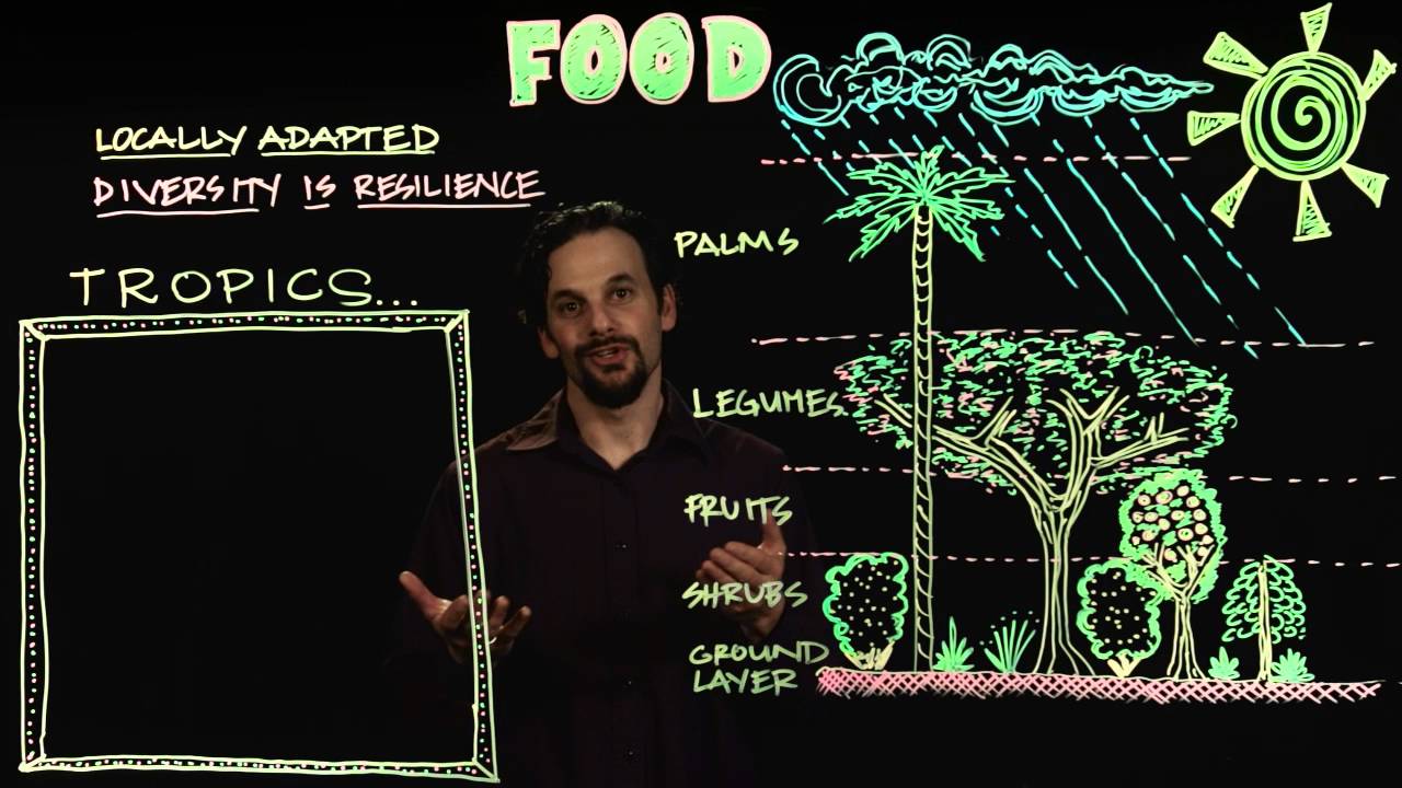 Permaculture Design for Food
