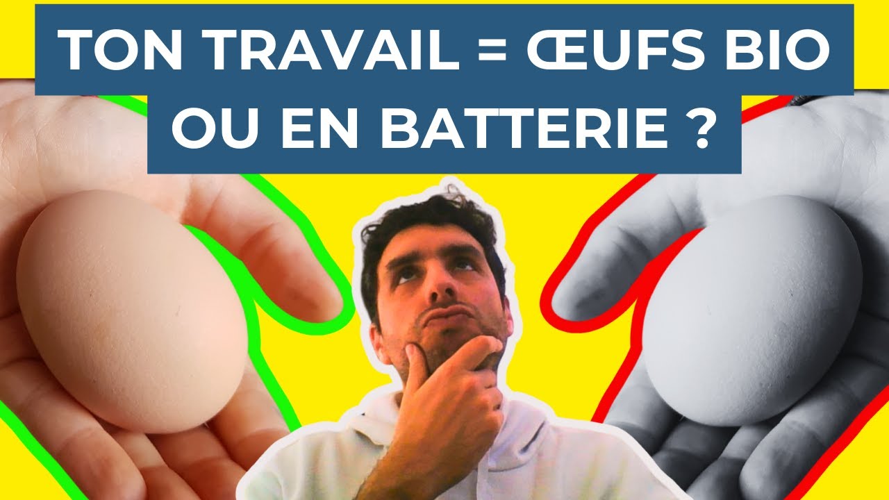 Qualité de Vie et des Conditions de Travail : un enjeu clé pour toi et ton quotidien professionnel