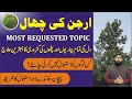 Arjun Ki Chaal Ke Fawaid Health Benifits Of Arjun Tree ارجن کی چھال ارجن کے فوائ