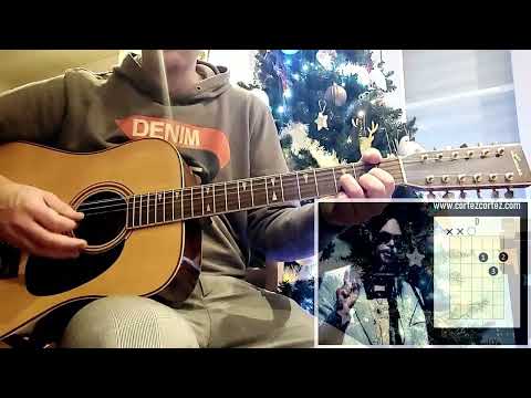 A day in the lofe of a tree - Beach Boys