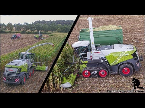 Claas Jaguar 960 TT | Terra Trac | Vorführtour 2019 | Agravis | Maishäckseln Schrey&Lendermann