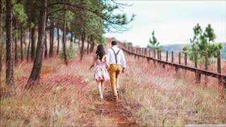 Vance Joy - Like Gold