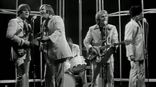 Beach Boys - Wouldn&#39;t It Be Nice (1966)