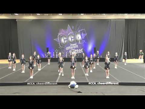 207 Blue Birds SPARROWS