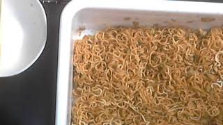 ペヤングペタマックス食べながら雑談！