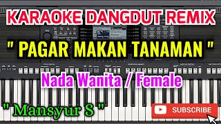 Download lagu Pagar Makan Tanaman Karaoke - Karaoke Pagar Makan Tanaman Nada Wanita / Female - Mansyur S mp3