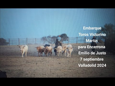 Embarque Toros Victorino Martín Valladolid 2024 Encerrona Emilio de Justo