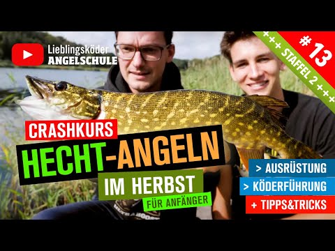 Hechtangeln im Herbst vom Ufer 🎣🤩👍  (Crashkurs für Anfänger)