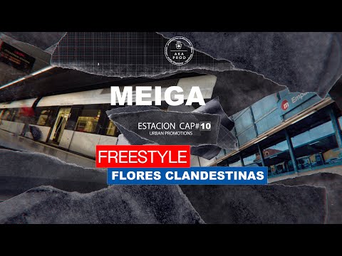 MEIGA/ FREESTYLE  FLORES CLANDESTINAS(ESTACION CAP#10)