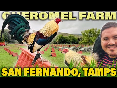 Beautiful Farm GUEROMEL FARM Tamaulipas Mexico