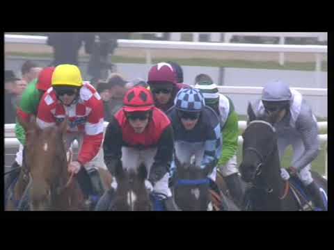 2011 Neptune Investment Management Novices' Hurdle - Cheltenham Festival