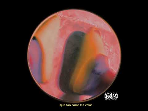 P.seca (prxd.NovatoRecords)