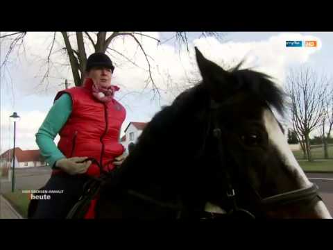 MDR SACHSEN ANHALT  Der Immenhof in Luko