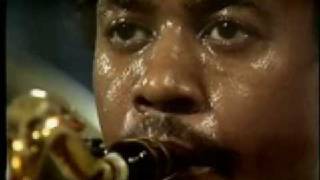 Barbary coast-Weather Report