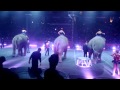 Circus At Ringling Bros