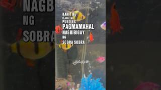 Download lagu Napapagud Din yan! #jhoulextv #youtubeshorts #saskatchewan #canada #2024shorts #trendingshorts #fyp mp3