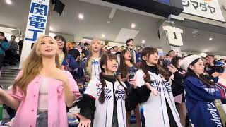 曾頌恩應援 #12強 2024.11.21 東京巨蛋外野啦啦隊應援（委內瑞拉戰） #cheerleader #台湾チア＃棒球＃中華隊