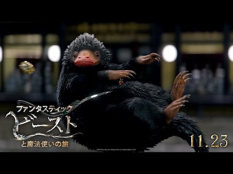映画『ファンタスティック・ビーストと魔法使いの旅』90秒予告【HD】2016年11月23日公開