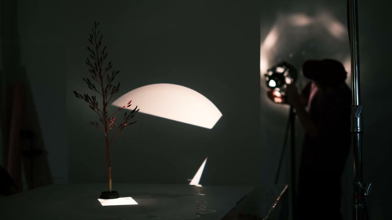 スモールスポット - Profoto