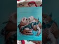 Tonights Bedtime Story ️ With Laura With Your Paw In Mine