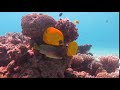 Scuba World Divers Makadi Bay