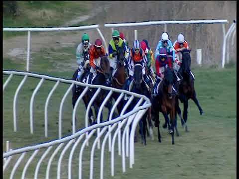 Galoppo 26/01/2019 - 6ª corsa