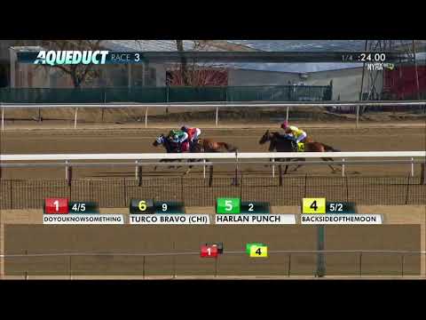 Backsideofthemoon - 2018 - The Jazil Stakes