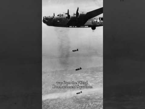 Shot Down Over Austria 1944 #history #usaaf #b24liberator
