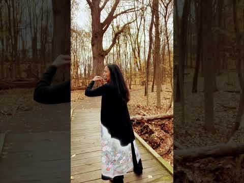 Xenoblade Chronicles 3 “A Life Sent On” Japanese Bamboo Flute -Shinobue Cover