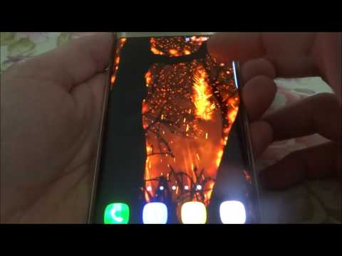 Burning Forest Live Wallpaper Video