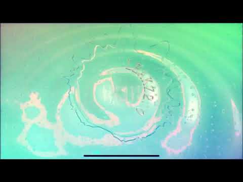 Leakz 2.0 - Mrs. 845