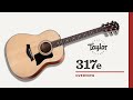 Taylor | 317e | Overview
