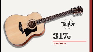 Taylor | 317e | Overview