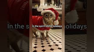 Download lagu The season of giving #cat #funny #fyp #memes #georgieebom mp3 Download lagu The season of giving #cat #funny #fyp #memes #georgieebom mp3