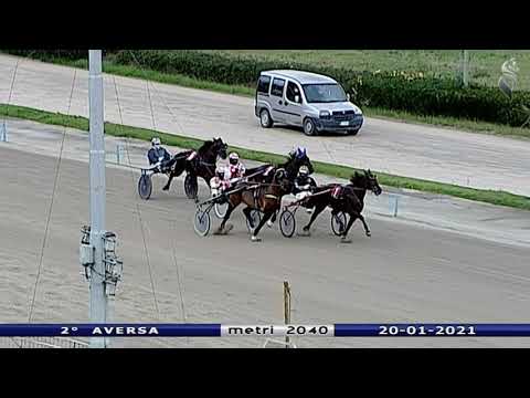 Aversa trotto 20 Gennaio 2021 - 2° Corsa