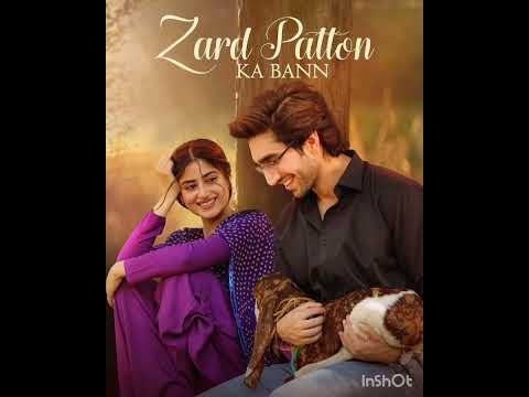 Zard Patton Ka Bunn 🎶 OST [ Teri Arzoo ] - Singer: Zaw Ali & Sohail Shehzad - HUM TV/Basit block