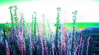 Spark Master Tape Trip