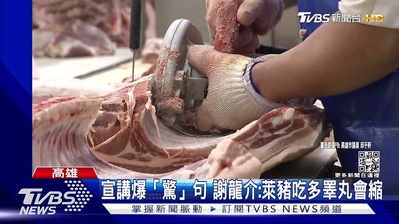 宣講爆「驚」句 謝龍介:萊豬吃多睪丸會縮