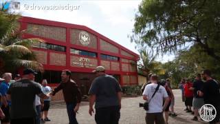 Cigar Safari 2015 : CATS : Reddit