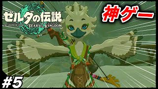 #5【雪山探検】ずっとやりたかった『ゼルダの伝説 ティアーズ オブ ザ キングダム』を楽しむ生放送