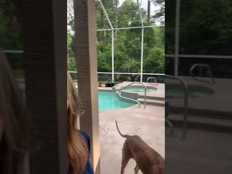 Planting milkweed seeds update