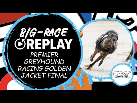 2023 Golden Jacket Final - Bellmore Sally | Greyhound Race Previews Reviews & Tips | 2023 Big Finals