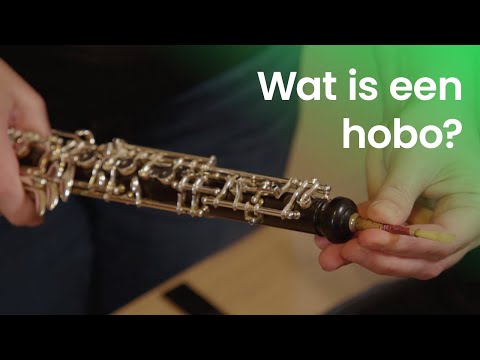 Wat voor instrument is een hobo?
