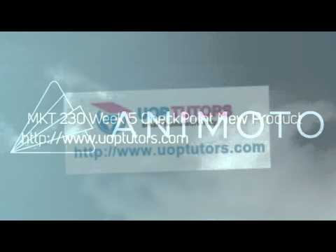 MKT 230 Week 5 CheckPoint New Product Development