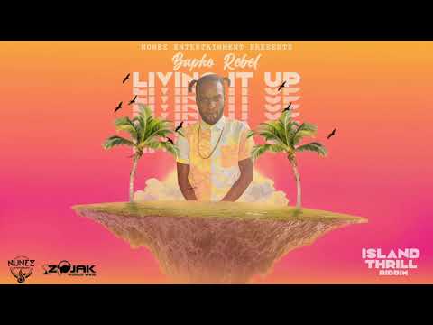 Bapho Rebel - Living It Up [Official Visualizer]