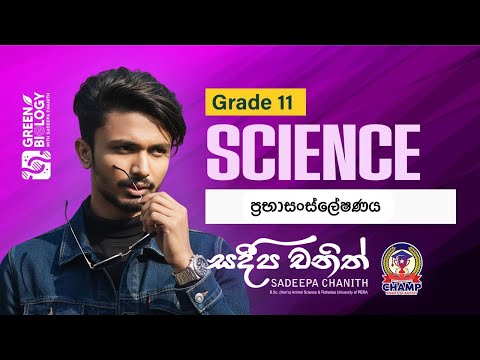 ප්‍රභාසංස්ලේෂණය